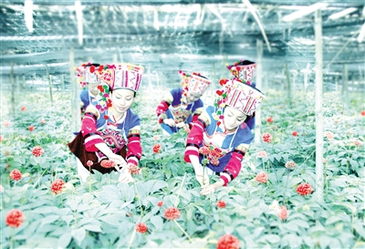 �ƶ�����3118��(�й���)�ٷ���վ